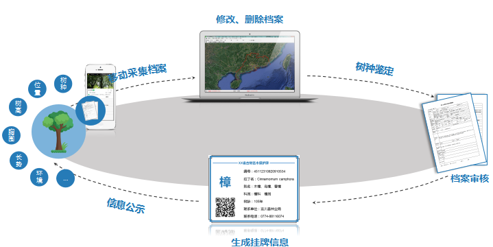 古樹(shù)目錄.png